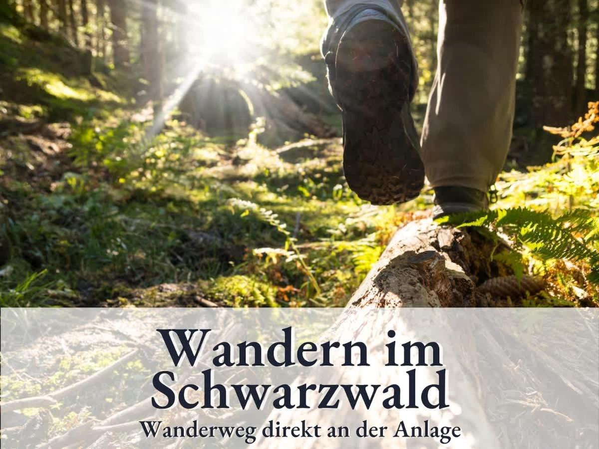 Relax-Apartment 164 Mit Indoor-Pool, Sauna, Kueche Und Netflix Schonach im Schwarzwald Exteriér fotografie